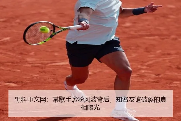 黑料中文网：某歌手袭粉风波背后，知名友谊破裂的真相曝光